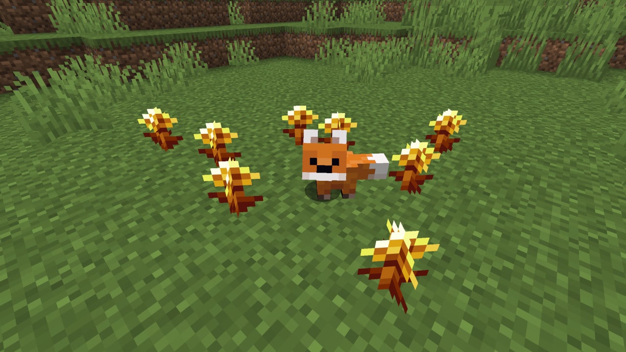 Mały Lis pośród Złotych Mleczy