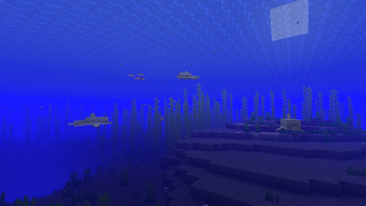 Wielbłąd leżący w pustynnej wiosce obok wieśniaka